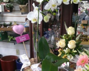 09- orquídea branca em cachepô espelhado